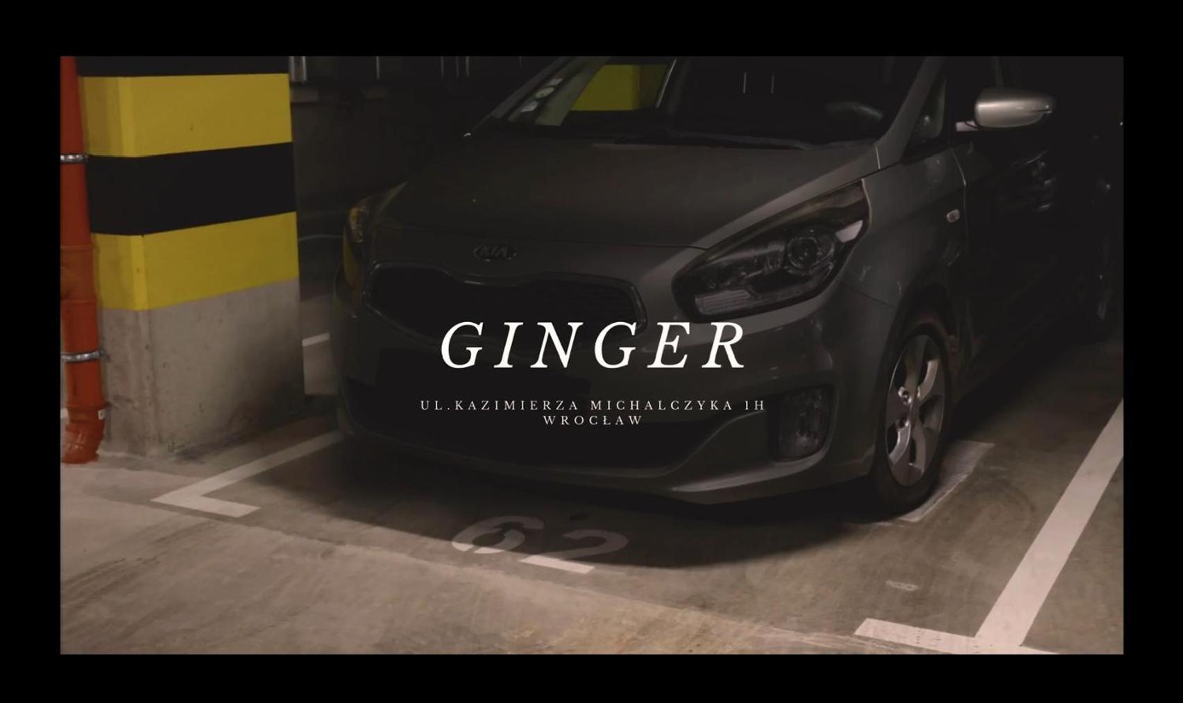Apartament Ginger - Stare Miasto - Bezplatny Parking - Youtube Apartament Ginger We Wroclawiu Εξωτερικό φωτογραφία